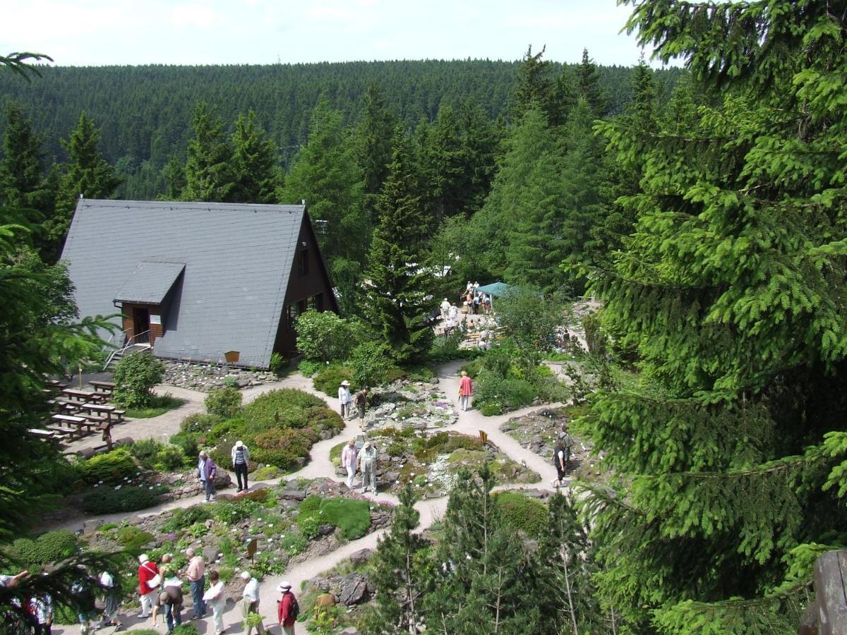 Konsum Gaestehaus Quisisana - Oberhof Оберхоф Екстериор снимка